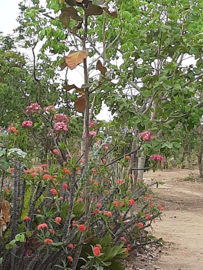 Estancia Morro Do Frota Pirenópolis 外观 照片