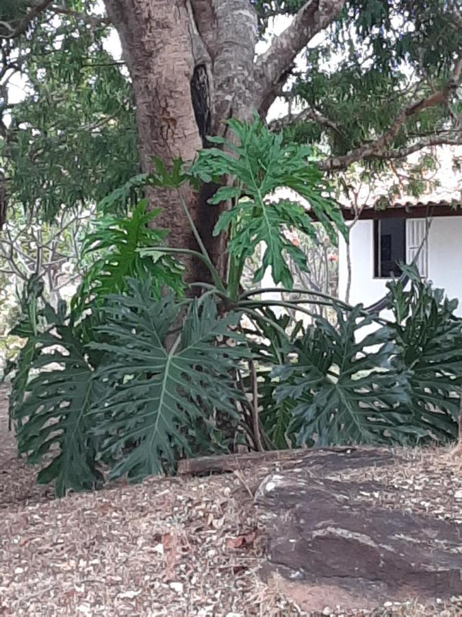 Estancia Morro Do Frota Pirenópolis 外观 照片