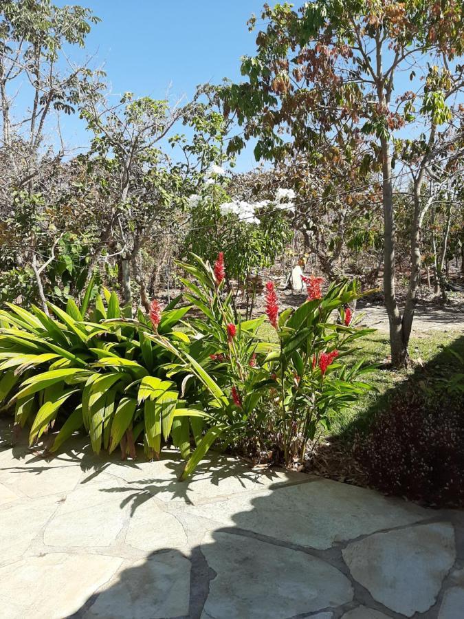 Estancia Morro Do Frota Pirenópolis 外观 照片