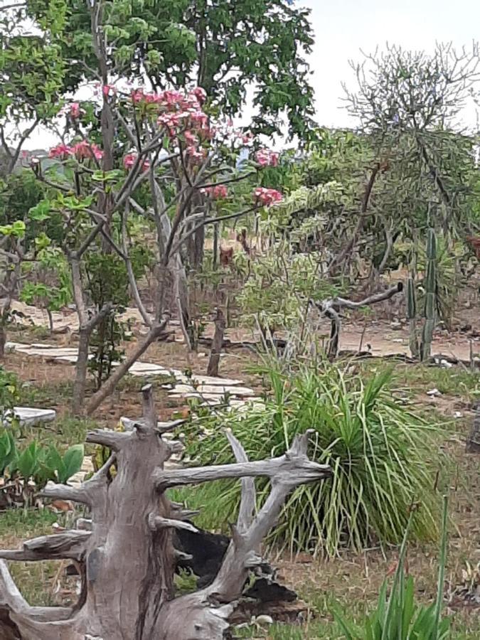 Estancia Morro Do Frota Pirenópolis 外观 照片