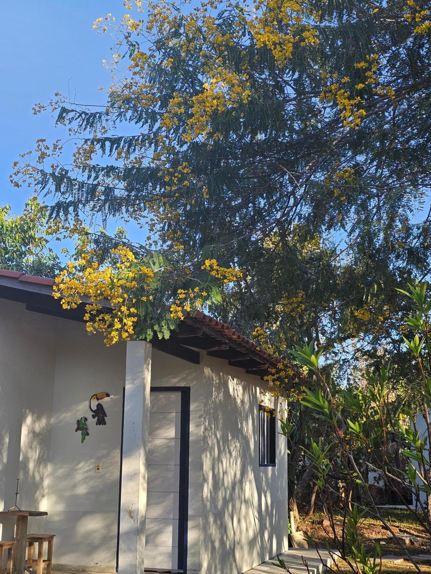 Estancia Morro Do Frota Pirenópolis 外观 照片